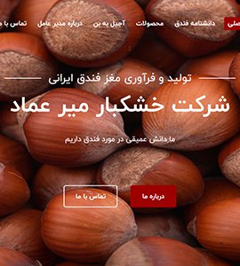 طراحی و بهینه سازی وب سایت شرکت خشکبار میرعماد قزوین